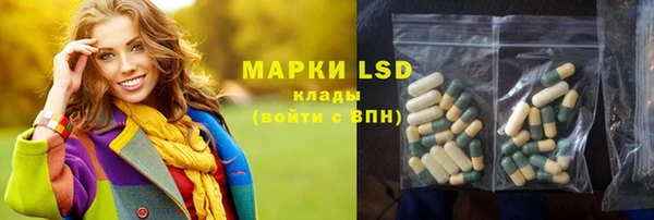 амф Алексин