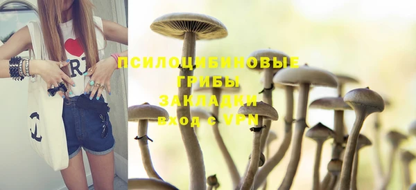 амф Алексин