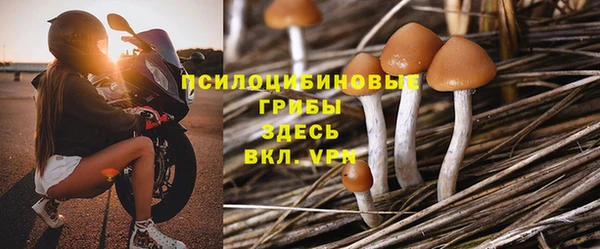 амф Алексин