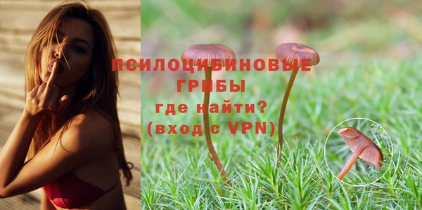 каннабис Алексеевка