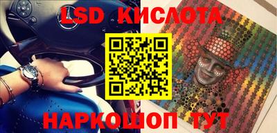 сатива Новокубанск