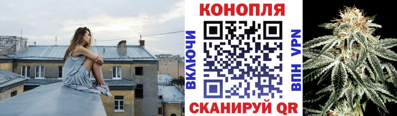 Каннабис OG Kush закладка Морозовск